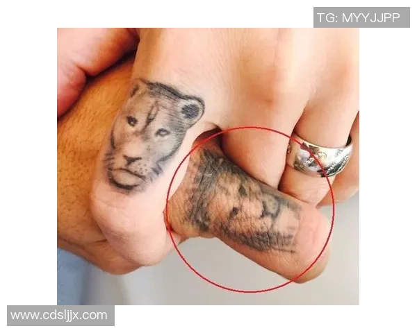 足球球星狮子纹身的独特象征与背后深刻含义解析