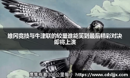 鑫彩网官网